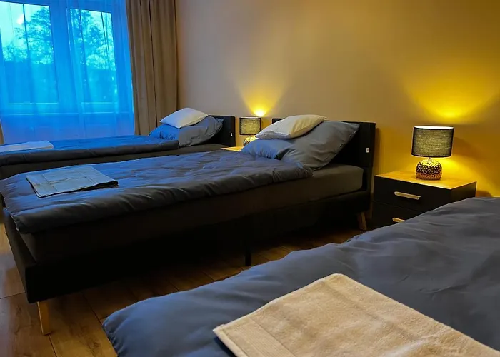 Komfortowy Apartament W Centrum